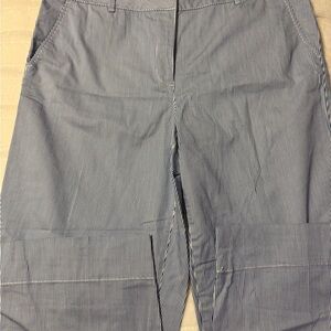 Talbots Blue Striped Cropped Pants